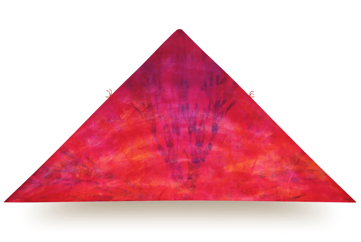 Delta kite titled Misfit 13, with a deep tie-dye burst of red, orange, and purple tones radiating from the center