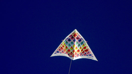 5 Surprising Ways a Kite Can Change Your Life