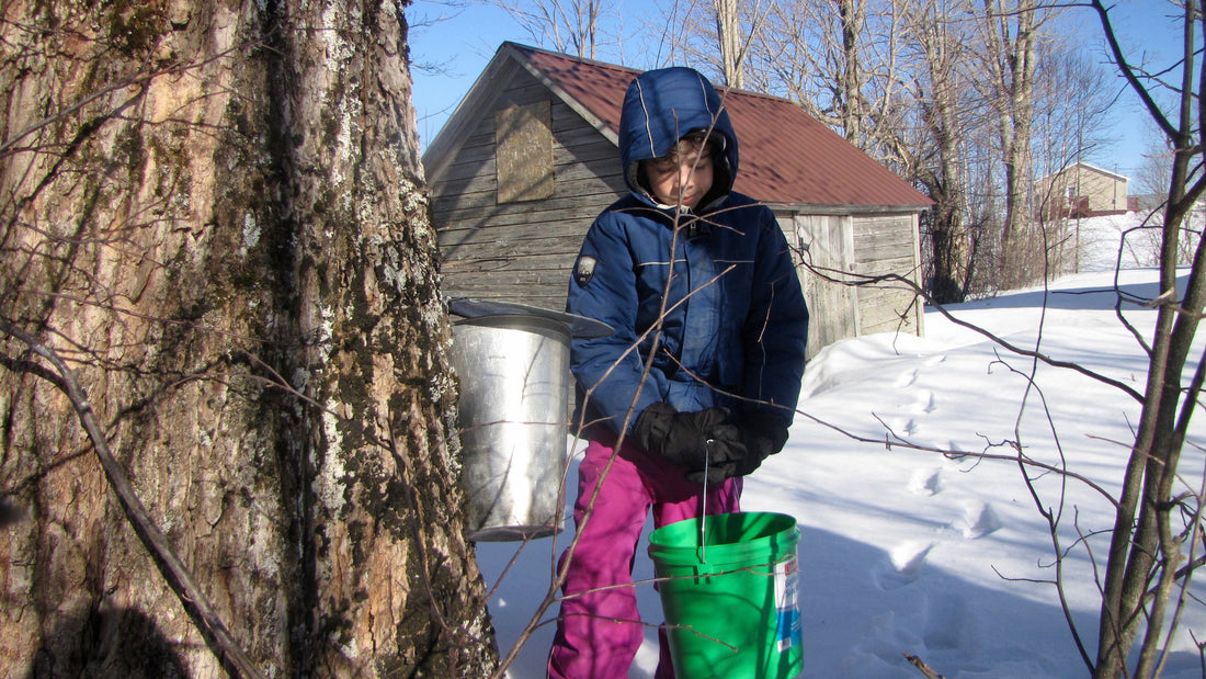 How to Beat Cabin-Fever the East Coast Way